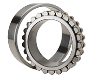 Double Row Cylindrical Roller Bearing w/ Cylindrical Bore - Type NN