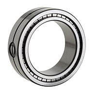 Double Row Cylindrical Roller Bearing w/ Fixed Side - SL01 Type