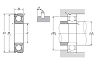 Single Row Radial Ball Bearing - Double Shielded, Snap Ring Groove - Dimensions