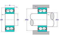 Double Row Angular Contact Ball Bearings - Two Contact Seals (2NS)