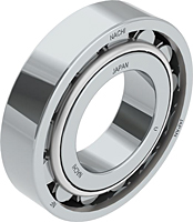 Cylindrical Roller Bearings - NF Design