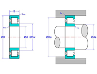 Cylindrical Roller Bearings - NJ Design