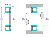 Cylindrical Roller Bearings - NUP Design