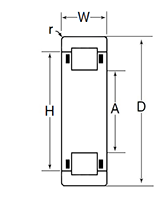 Outer Ring w/ Cage & Rollers, Two Ribs - Dimensions