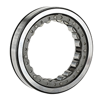 Outer Ring w/ Cage & Rollers,Two Ribs & Snap Ring Groove in Outer Ring O.D.