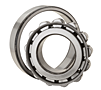 Cylindrical Roller Bearing - Inner Ring w/ Two Ribs, Separable, Plain Outer Ring