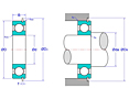 Deep Groove Ball Bearings with Snap Ring