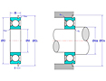 Deep Groove Ball Bearings with Single Shield and Snap Ring (ZENR)